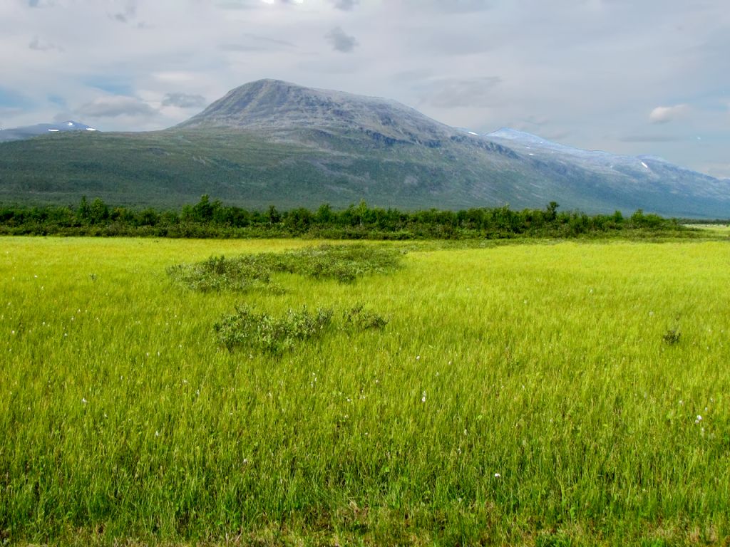 Orðin heimskautalandbúnaður eða norðurslóðalandbúnaður vísa til þeirrar sérlausnar sem Finnland og Svíþjóð sömdu um í viðræðum sínum við ESB árið 1994. Sérlausnin felst í því að Finnum og Svíum er heimilt að veita sérstaka styrki vegna landbúnaðar á norðurslóðum, það er norðan við 62. breiddargráðu, sem nemur 35% umfram það sem öðrum aðildarríkjum er heimilt. Orðin heimskautalandbúnaður eða norðurslóðalandbúnaður vísa til þeirrar sérlausnar sem Finnland og Svíþjóð sömdu um í viðræðum sínum við ESB árið 1994. Sérlausnin felst í því að Finnum og Svíum er heimilt að veita sérstaka styrki vegna landbúnaðar á norðurslóðum, það er norðan við 62. breiddargráðu, sem nemur 35% umfram það sem öðrum aðildarríkjum er heimilt.