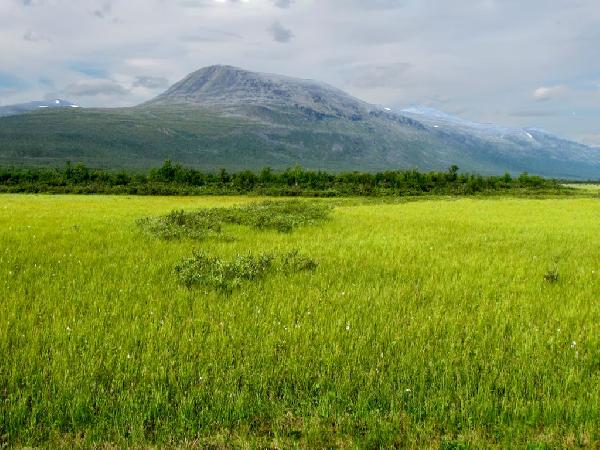 Halda ríki forræði yfir auðlindum sínum við inngöngu í ESB?